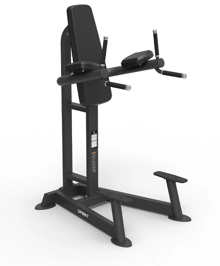 Leg raise and dip machine sale
