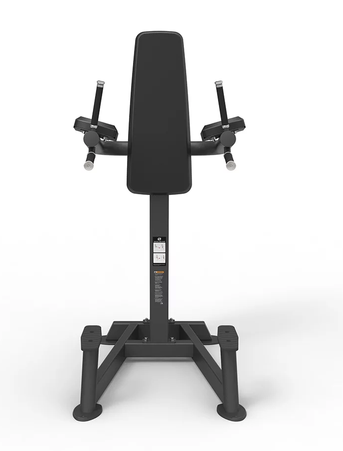 Spirit Leg Raise/Dip Machine  