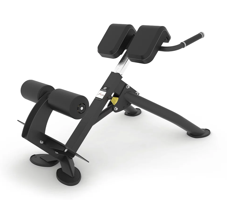 Spirit Back Extension Bench