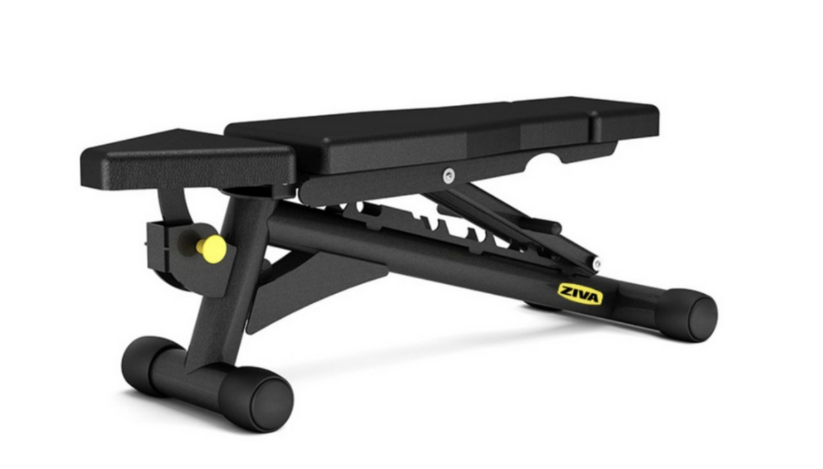 ZIVA Performance FID Bench