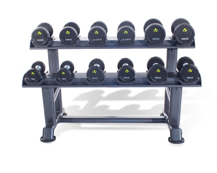 Physical Company PU Dumbbell Sets With Saddle Racks