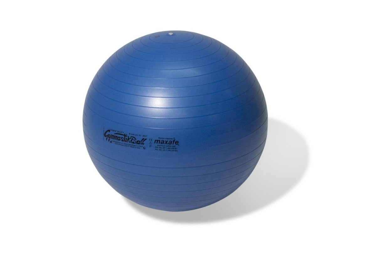 Pro Maxafe Club Core Stability Ball