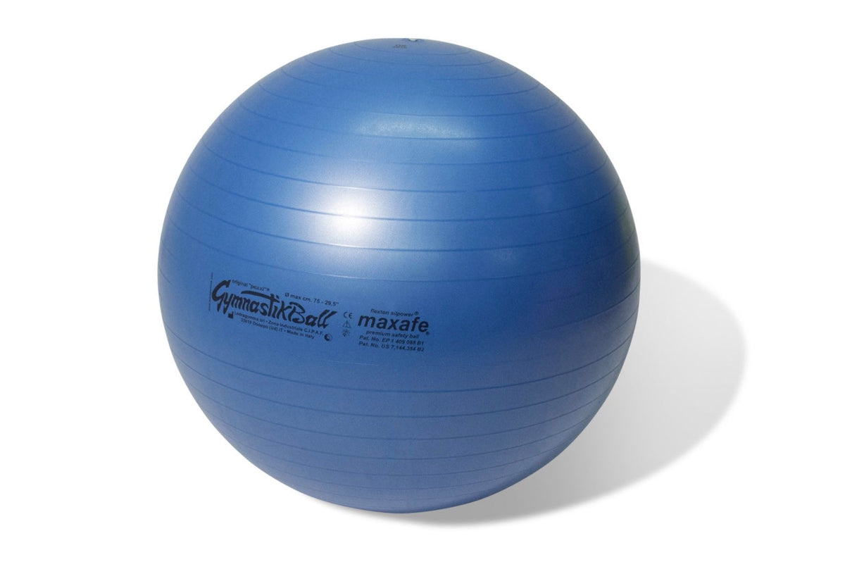Pro Maxafe Club Core Stability Ball