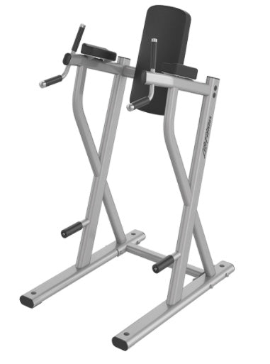 Life Fitness Axiom Series Dip / Leg Raise