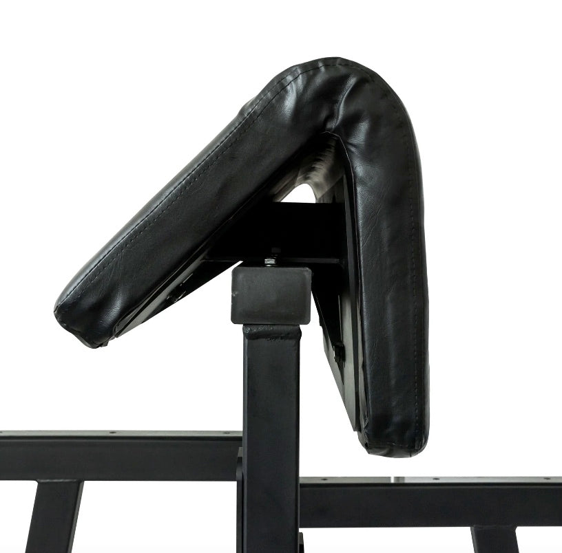 Primal Performance Series Standing Preacher Curl