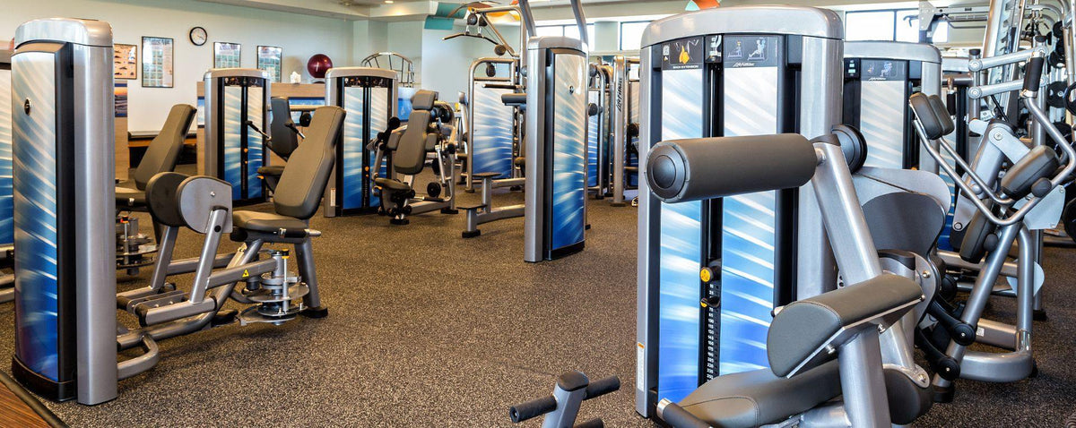 Life Fitness Insignia Series Assist Chin Dip Selectorised