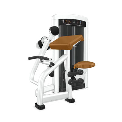 Life Fitness Insignia Series Biceps Curl Dependant