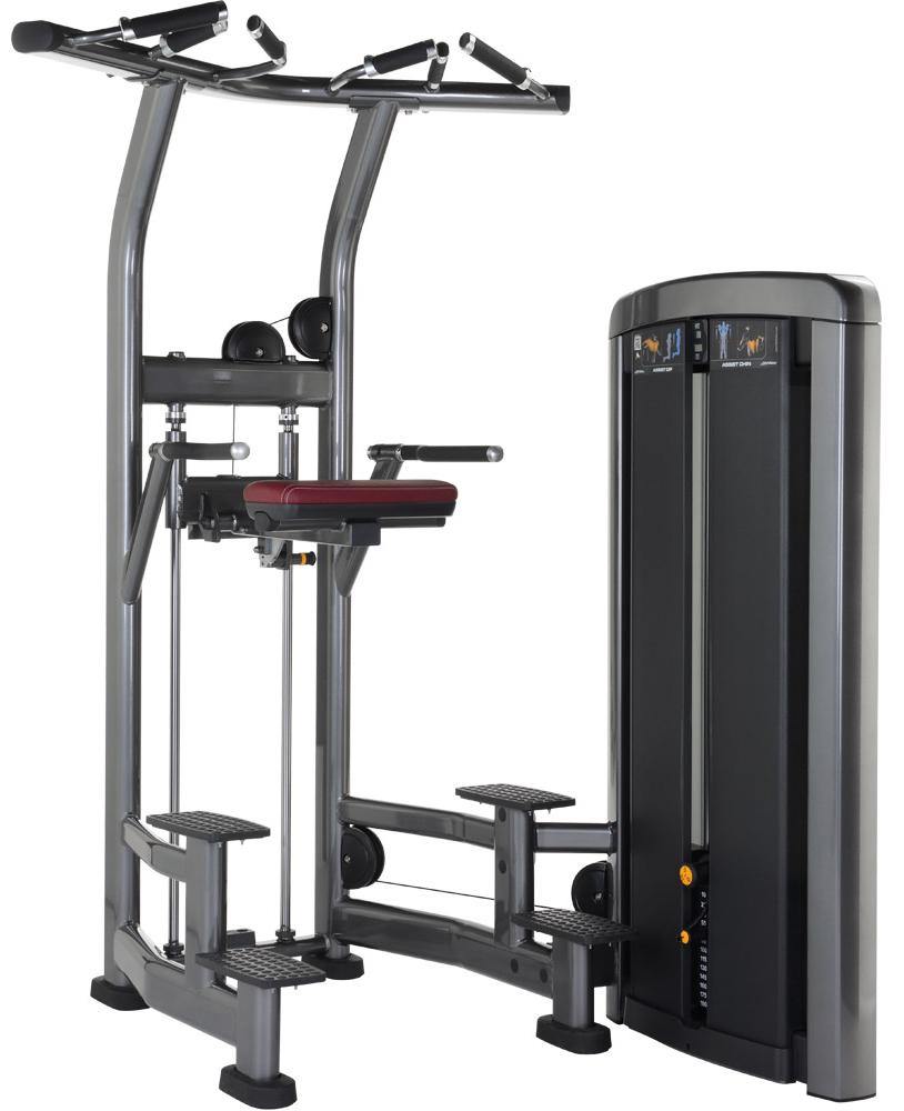 Life Fitness Insignia Series Assist Chin Dip Selectorised