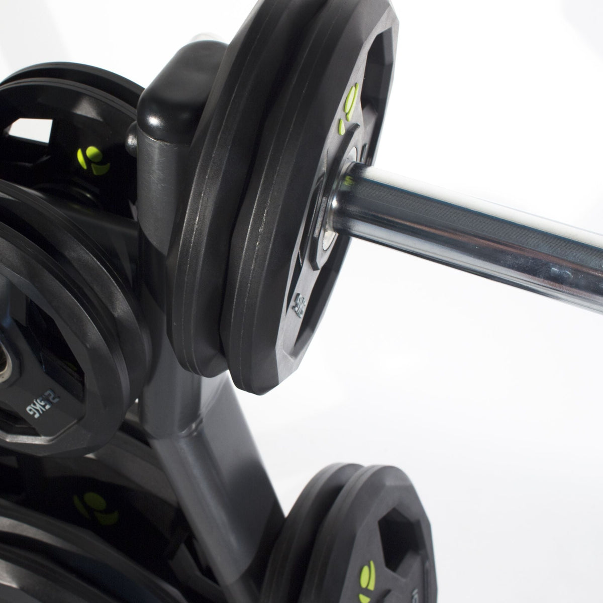 Physical Company Olympic Plate Tree