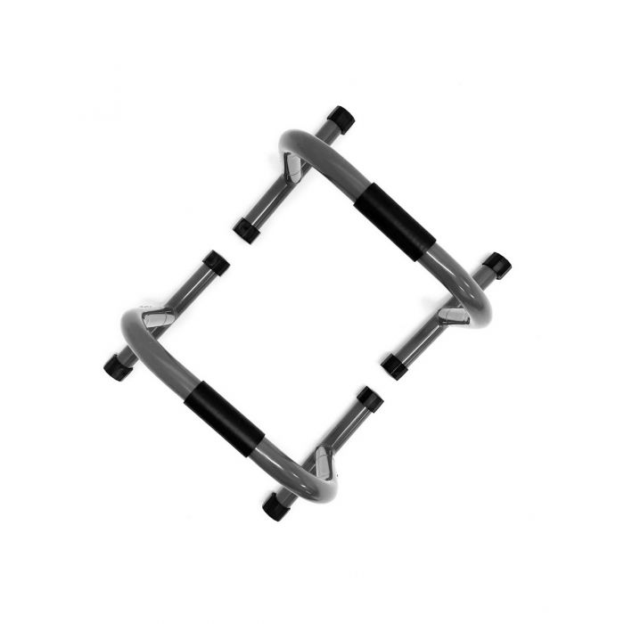 Physical Company Paralettes