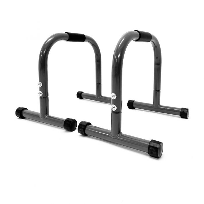 Physical Company Paralettes