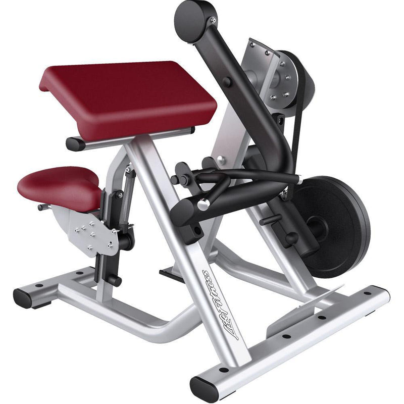 Bicep Curl Machines - Training Station